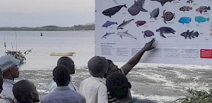 Introducing marine species information boards in Kenya and Tanzania: getting locals on board with artisanal fishing regulations