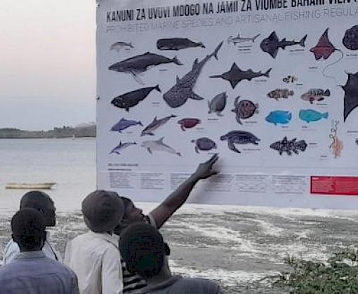 Introducing marine species information boards in Kenya and Tanzania: getting locals on board with artisanal fishing regulations