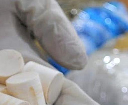 Malaysian Customs arrest Vietnamese national carrying two suitcases filled with ivory