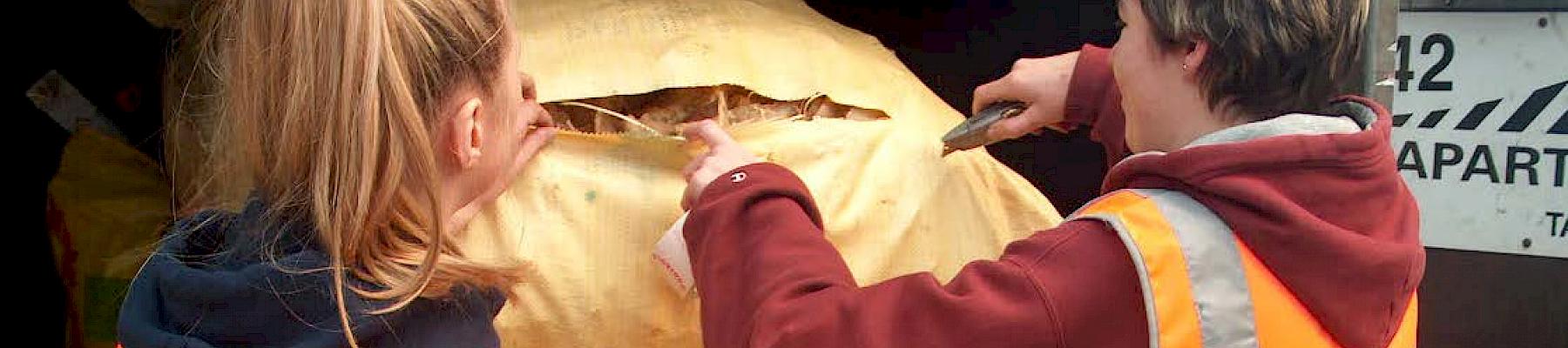 Officials inspect a shipment of dried shark fins at Brussels airport. Photo: Pol Meuleneire, GAD Zaventem