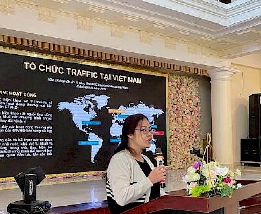 Viet Nam transport and logistic associations operating at borders receive training to reduce wildlife trafficking