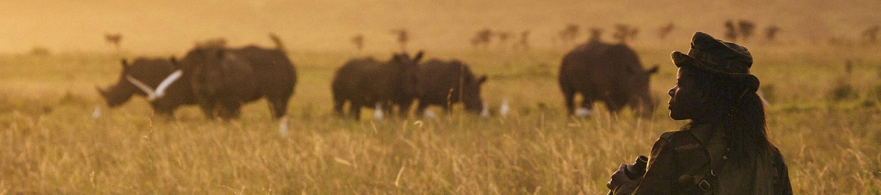 Ranger, Kenya Wildlife Service, Nairobi National Park - monitoring white rhino in evening light - Nairobi National Park, Kenya. © Jonathan Caramanus / Green Renaissance / WWF-UK