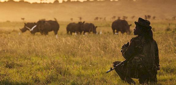 Ranger, Kenya Wildlife Service, Nairobi National Park - monitoring white rhino in evening light - Nairobi National Park, Kenya. © Jonathan Caramanus / Green Renaissance / WWF-UK