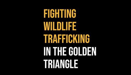 TOOLKIT FOR WILDLIFE ENFORCEMENT