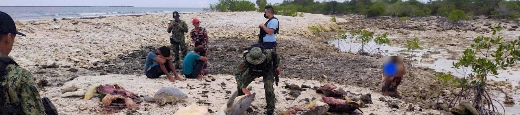 15 marine turtles carcasses were discovered at the end of January / Photo Courtesy of PNP-Maritime Group, Regional Maritime Unit - BARMM