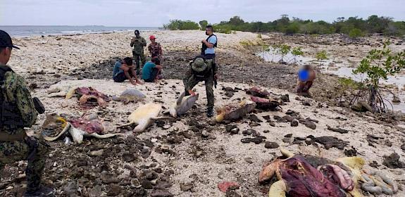 15 marine turtles carcasses were discovered at the end of January / Photo Courtesy of PNP-Maritime Group, Regional Maritime Unit - BARMM