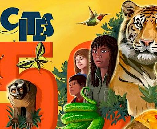 World Wildlife Day 2023: partnering to support CITES for almost 50 years