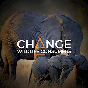 Wildlife Consumers Toolkit