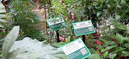 Project supports Vietnamese local authorities launch an SBC traditional medicine exhibition