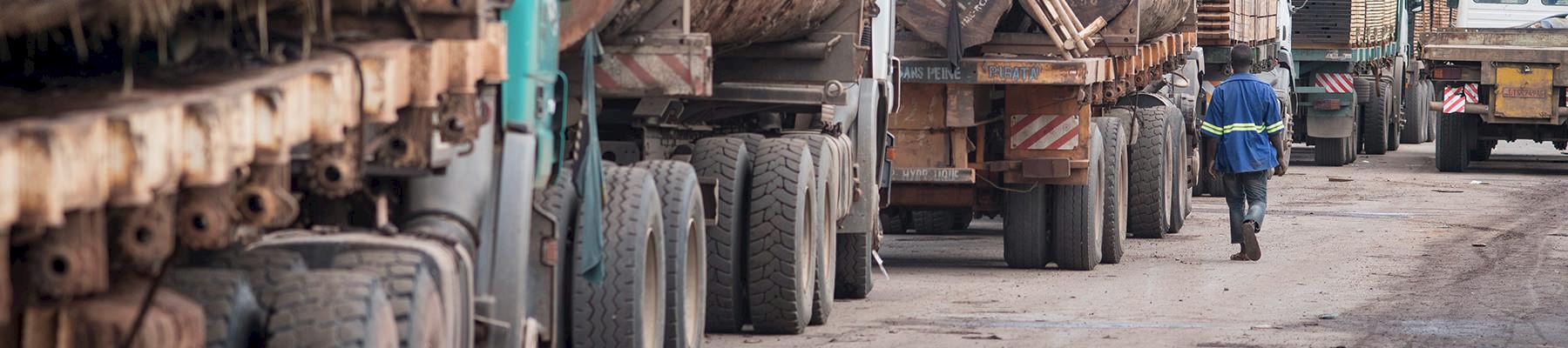 Trucks carrying timber wait to offload at Douala port, Cameroon © A. Walmsley / TRAFFIC