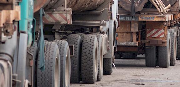 Trucks carrying timber wait to offload at Douala port, Cameroon © A. Walmsley / TRAFFIC