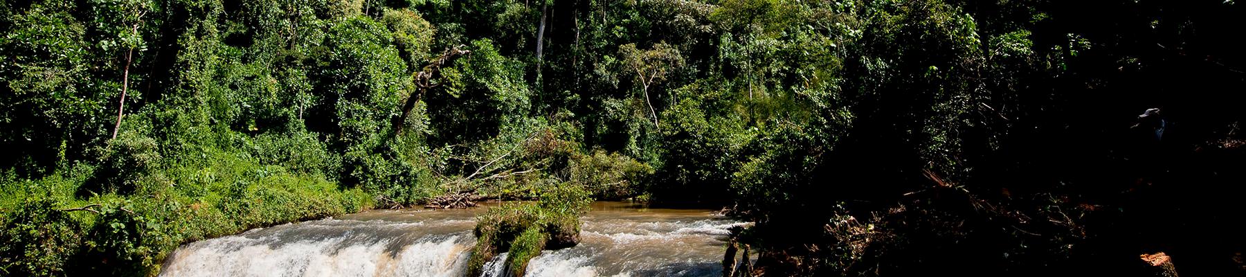 A waterfall along the Mara river at its source in the Mau Forest near Bomet, Narok, Kenya © Kate Holt  WWF-UK