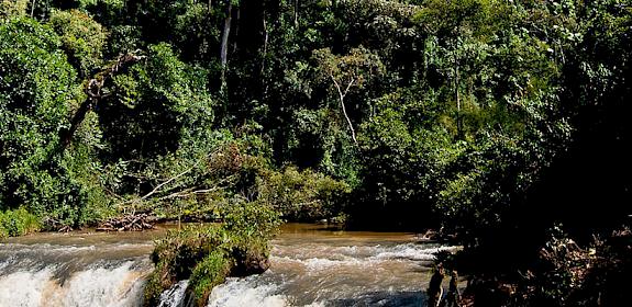 A waterfall along the Mara river at its source in the Mau Forest near Bomet, Narok, Kenya © Kate Holt WWF-UK