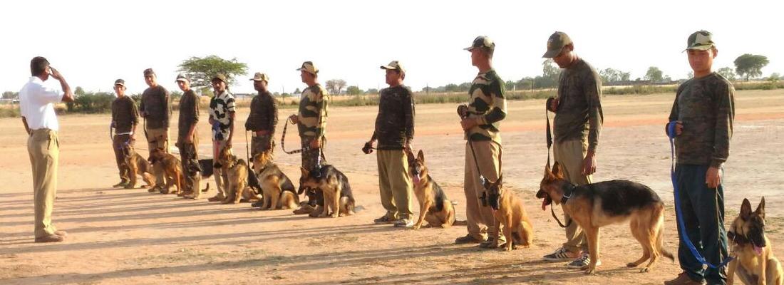 Trainee sinffer dogs and their handlers receive training on detecting wildlife products © TRAFFIC