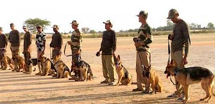 Adding teeth to law enforcement: 13 dog squads commence wildlife detection training