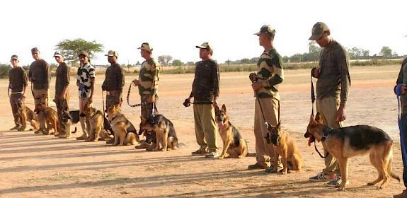 Trainee sinffer dogs and their handlers receive training on detecting wildlife products © TRAFFIC
