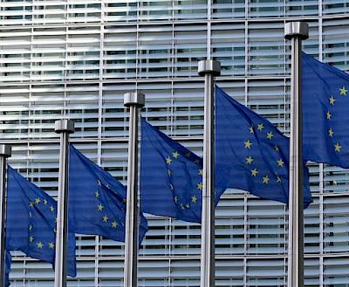 European Commission Expert Roundtable Discusses The Role Of Behaviour Change Approaches In Addressing Illegal Wildlife Trade