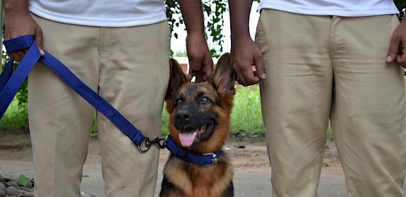 Rocky who will work in Karnataka