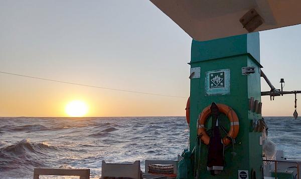 A Balancing Act: Testing SharkTrace at sea as a critical tool for shark trade management