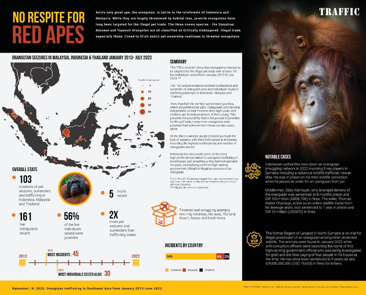 Loss of Great Ape habitat 2002-2032 (Southeast Asia)
