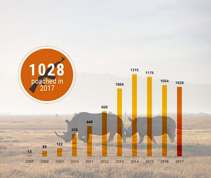 Số liệu thống kê chính thức về nạn săn trộm tê giác ở Nam Phi © TRAFFIC