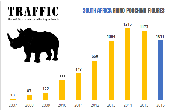 South Africa annual rhino poaching toll falls for second year running