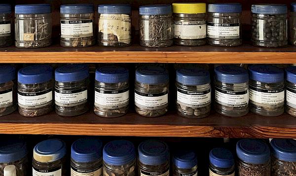 Medicinal and aromatic plant derivatives