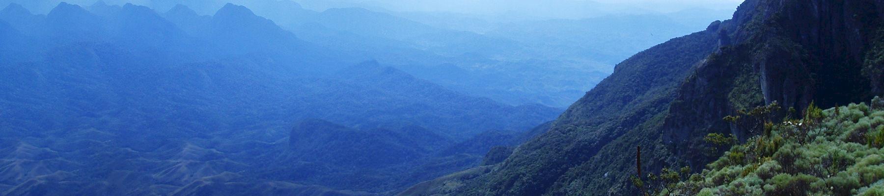 Forest landscape in Madagascar © WOODS Emma / WWF-Madagascar