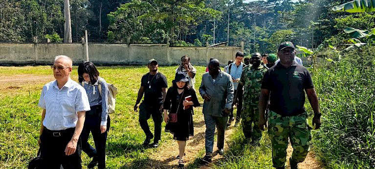 Africa and Asia Timber Industries Embark on a New Era of Legal and Sustainable Cooperation - Vimarsana News