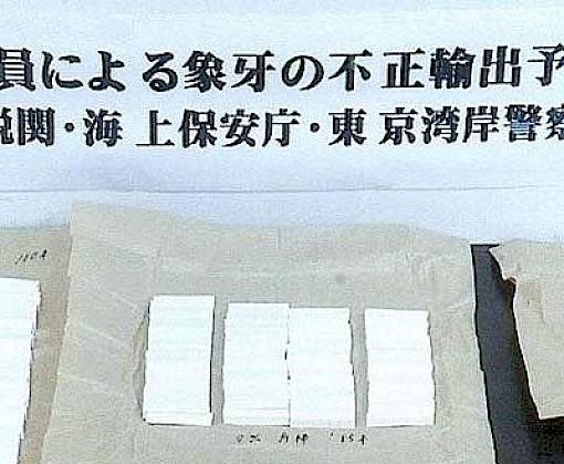 Japanese ivory trader arrested on suspicion of smuggling ivory to China