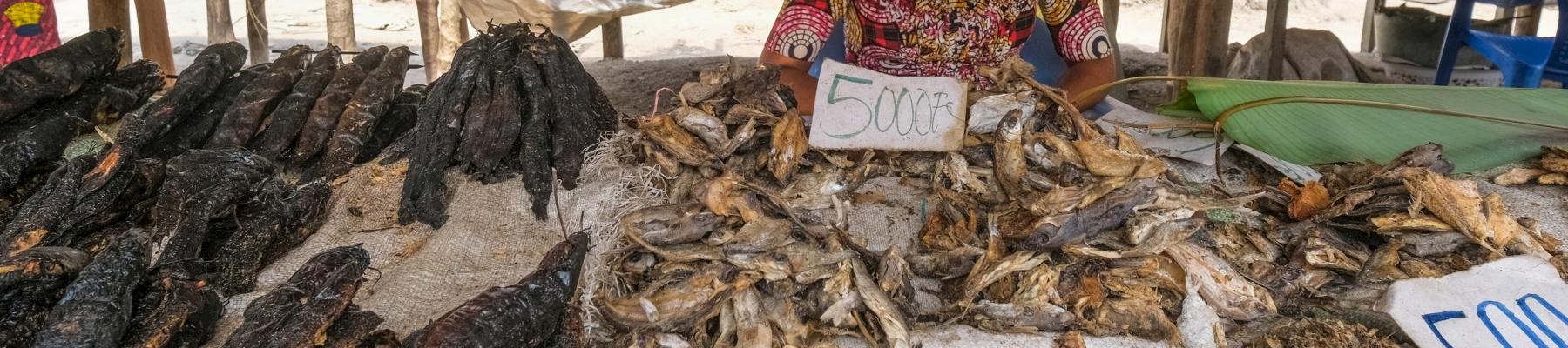 Bushmeat market in Democratic Republic of Congo © Axel Fassio/CIFOR