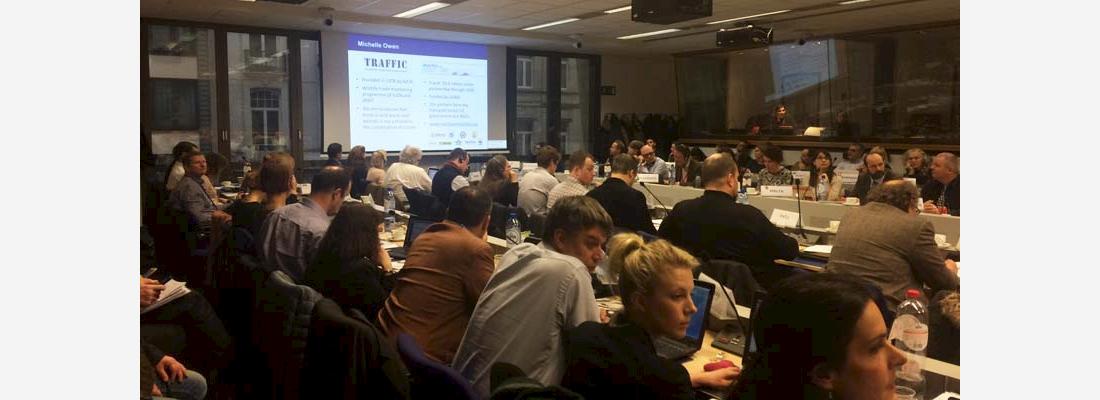 The European Union held a meeting to mark the first anniversary of the publication of the EU Action Plan against Wildlife Trafficking @copy; TRAFFIC