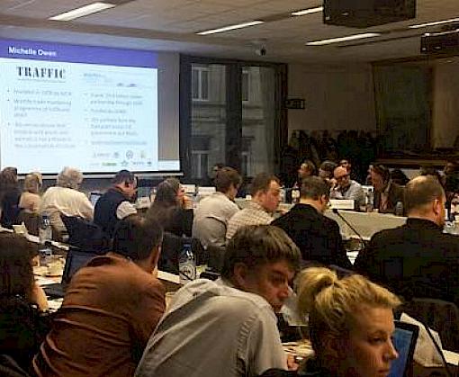 EU-Africa collaboration essential for effective implementation of anti-trafficking plan