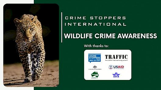 Wildlife Crime Awareness
