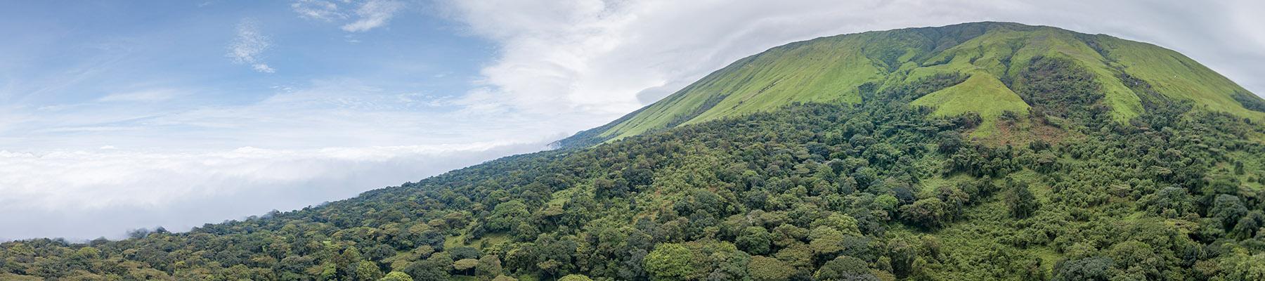 Mount Cameroon is home to a wealth of wild species threatened by poaching and illegal trade. Photo: A. Walmsley / TRAFFIC