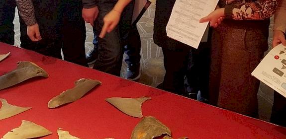 Wokshop trainees receive expert tuition on shark fin identification © TRAFFIC