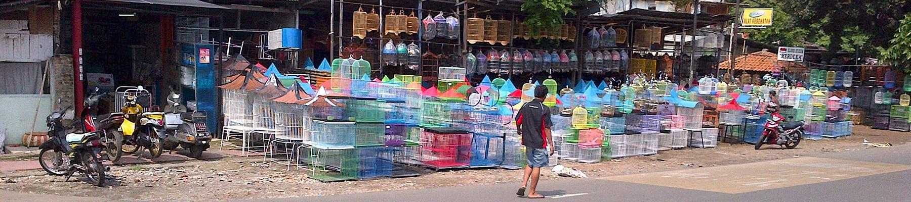 Rows of cages at a stall just outside Pramuka market, Jakarta © Kanitha Krishnasamy / TRAFFIC