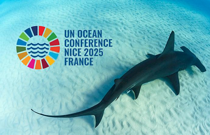 TRAFFIC at the third UN Ocean Conference