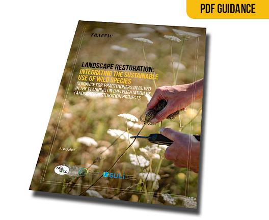 PRACTITIONER GUIDANCE