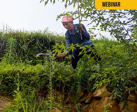 PROJECT WEBINAR