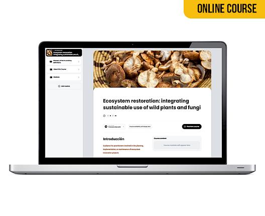 ONLINE COURSE