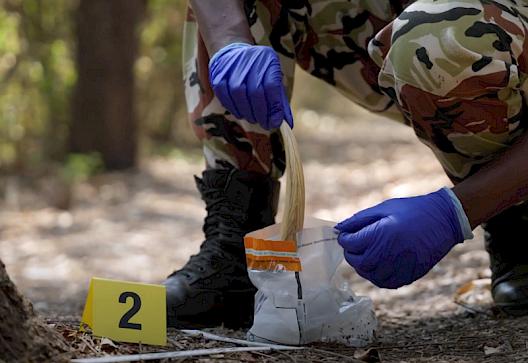 Enhancing wildlife forensics to fight crime