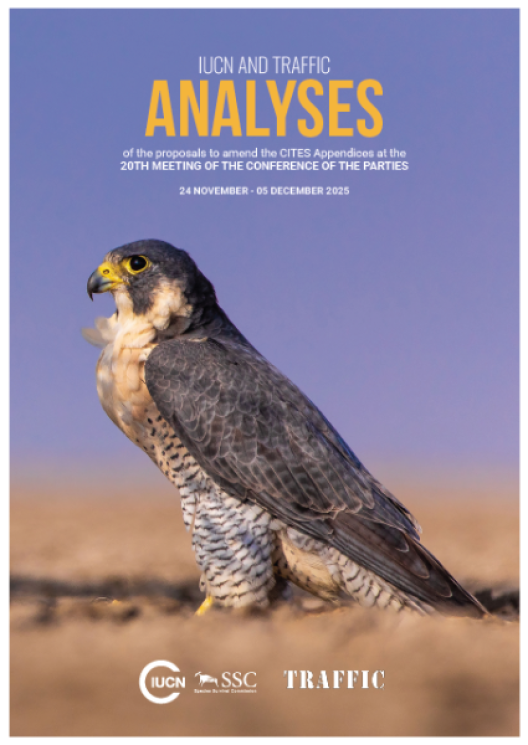 Analyses