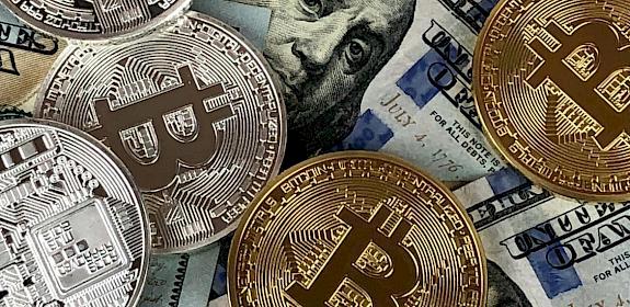 Photo credit: David Mc Bee/ Pexels