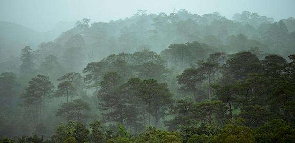 Photo by Tan Dao