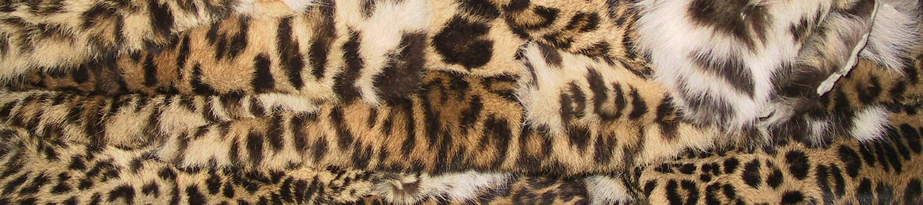 Confisctaed leopard skins, one example of an ongoing trade in China © Mark Atkinson / WWF