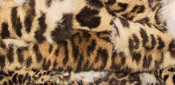 Confisctaed leopard skins, one example of an ongoing trade in China © Mark Atkinson / WWF