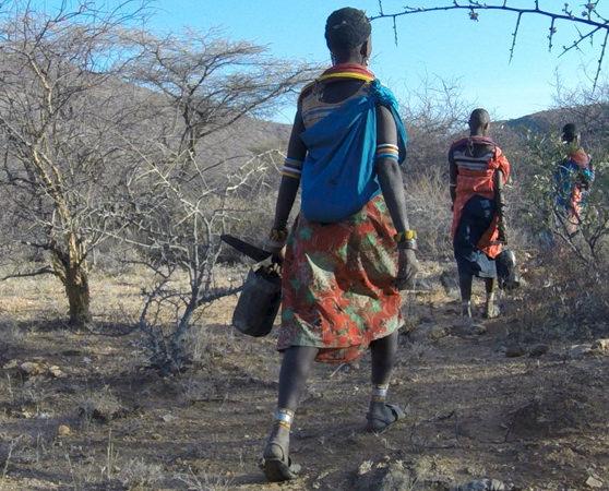 肯尼亚的桑布鲁部落采集野生乳香。FairWild项目帮助建立了可持续的采集实践并帮助当地采集社区获得进入公平贸易的市场机会。©️ Ackroyd + Harvey / Conflicted Seeds