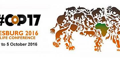 Positive outcomes from global wildlife trade conference, but much work needed to halt unsustainable and illegal trade