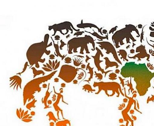 CITES: some highlights of week one